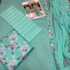 IMG-20260628-WA0028 Luxury Chicken Kari Embroidered Lawn Suit with Chiffon Dupatta – Summer Collection 2026