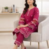 Gemini_Generated_Image_ijw1hnijw1hnijw1 Premium Embroidered Solid 2 Piece Co-Ord Set