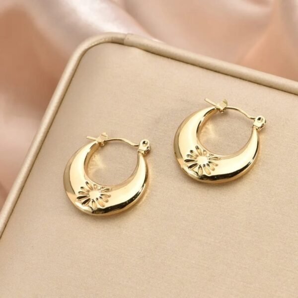 Stainless Steel hoops