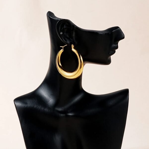 Stainless Steel hoops