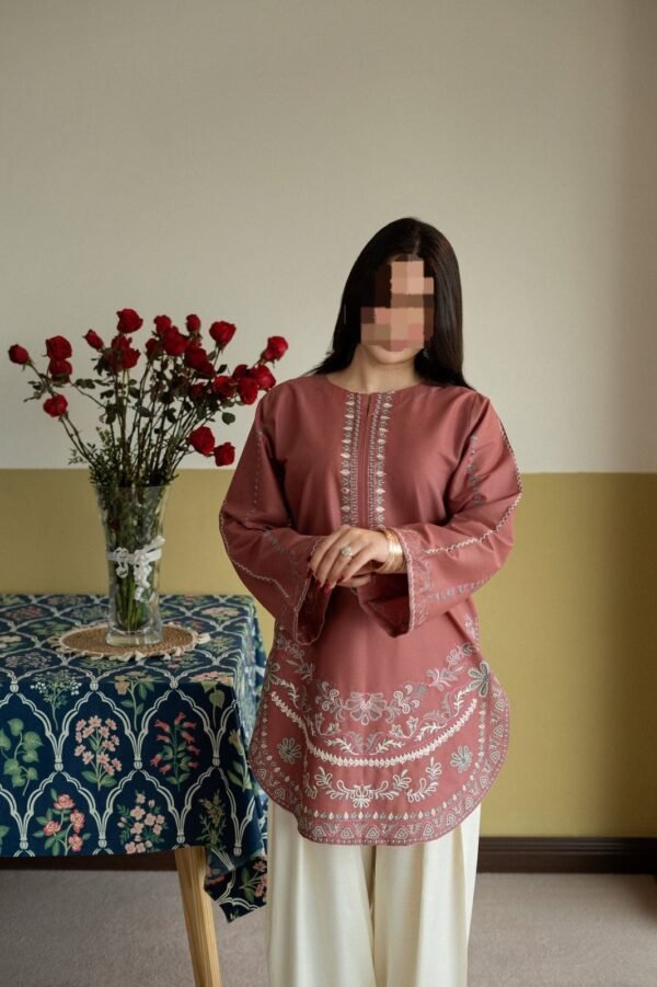 IMG-20260729-WA0065 Maya Embroidery 2 Piece Suit